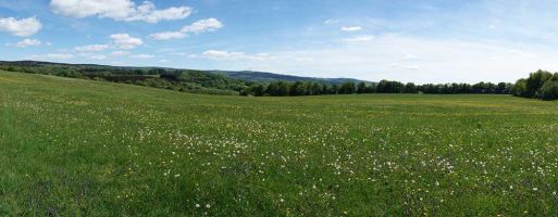 Stationen Reiten Hessen
