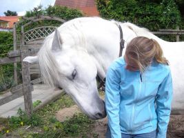 Reitkurse Reitabzeichen Urlaub mit Pferd