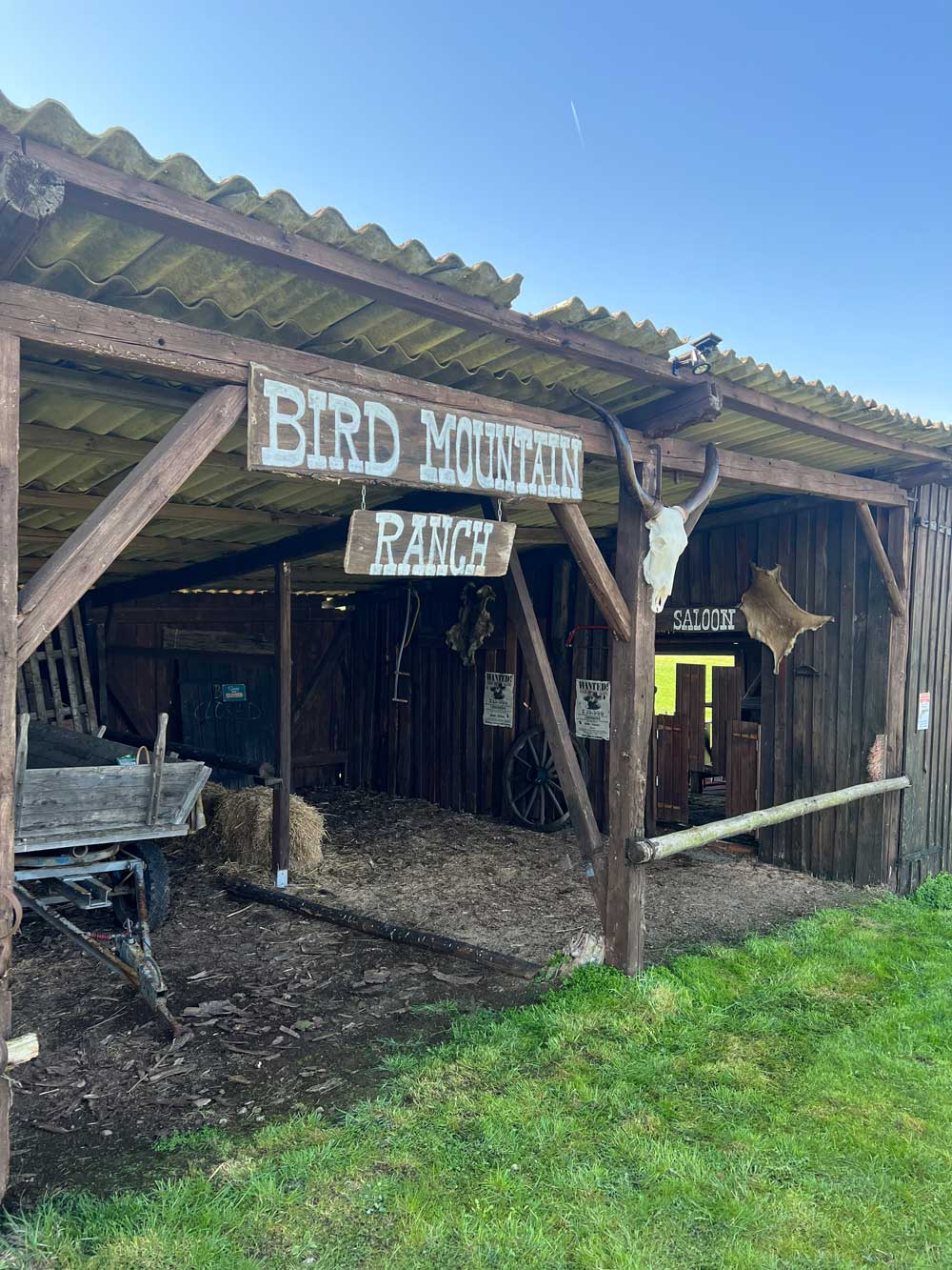 Bird Mountain Ranch Romrod Alsfeld Reiten mit Pferd