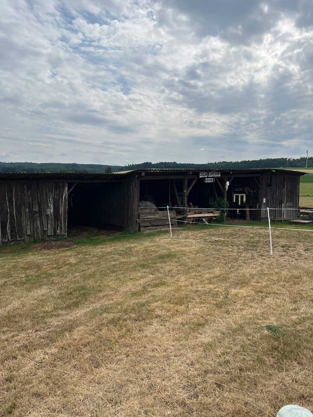 Bird Mountain Ranch Romrod Natur Reiten Koppel