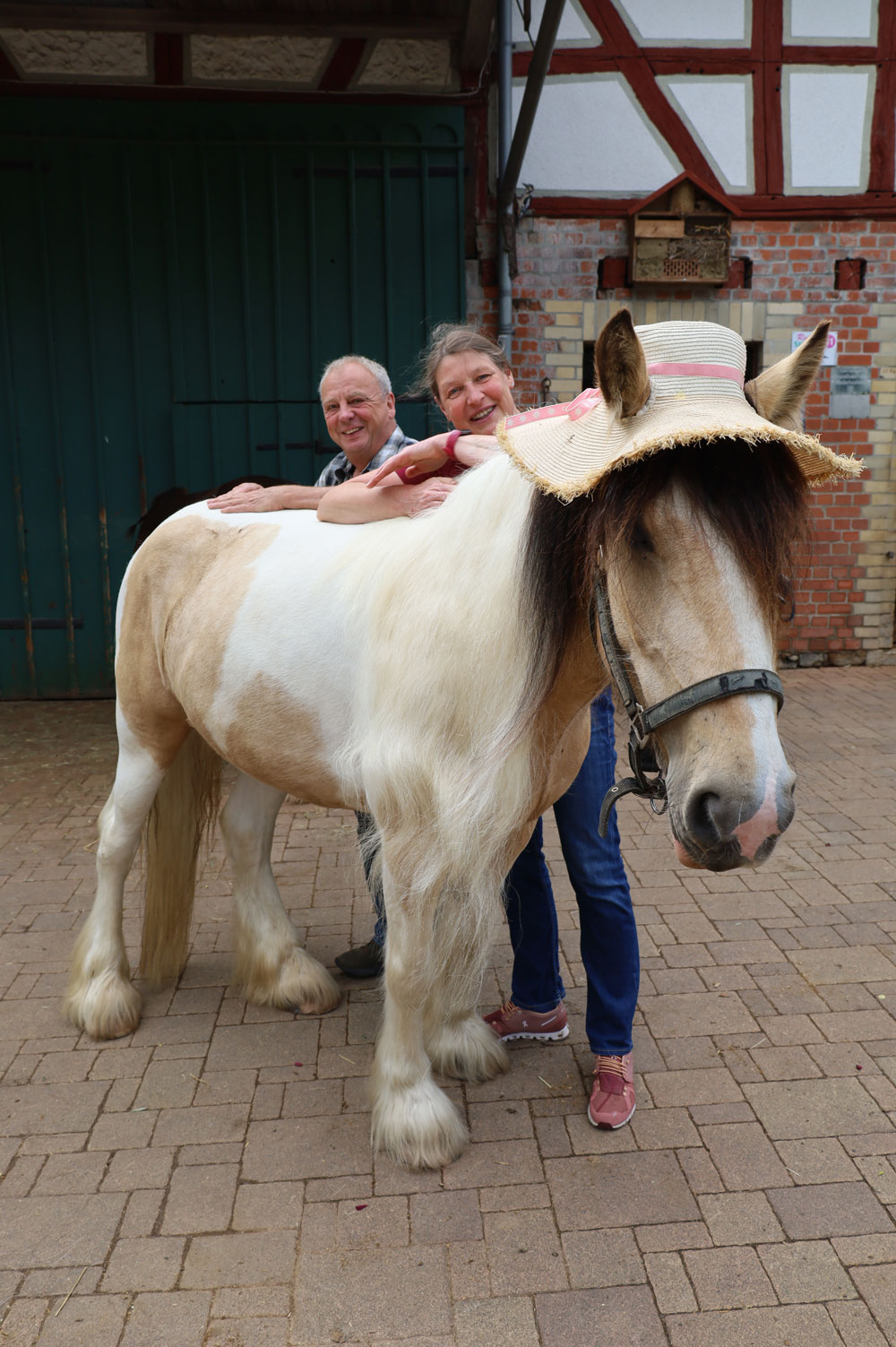 Reitstation 41 Wanderreiter im Vogelsberg