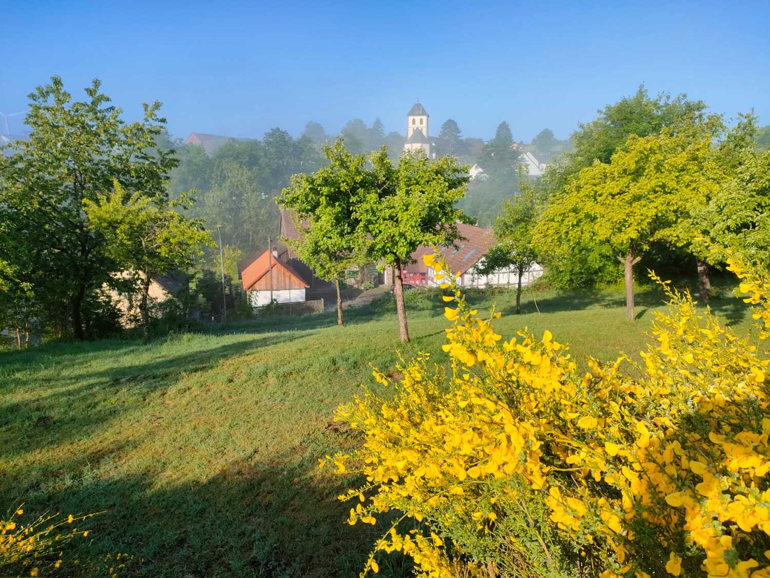 Reiterhof Birstein Vogelsberg